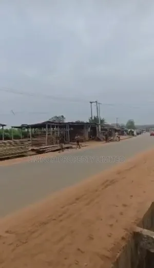 200ft by 200ft Land for Sale Along Major Amagba Tarred Road, Benin Cty