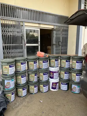 Paint {Golden Pro Paint}
