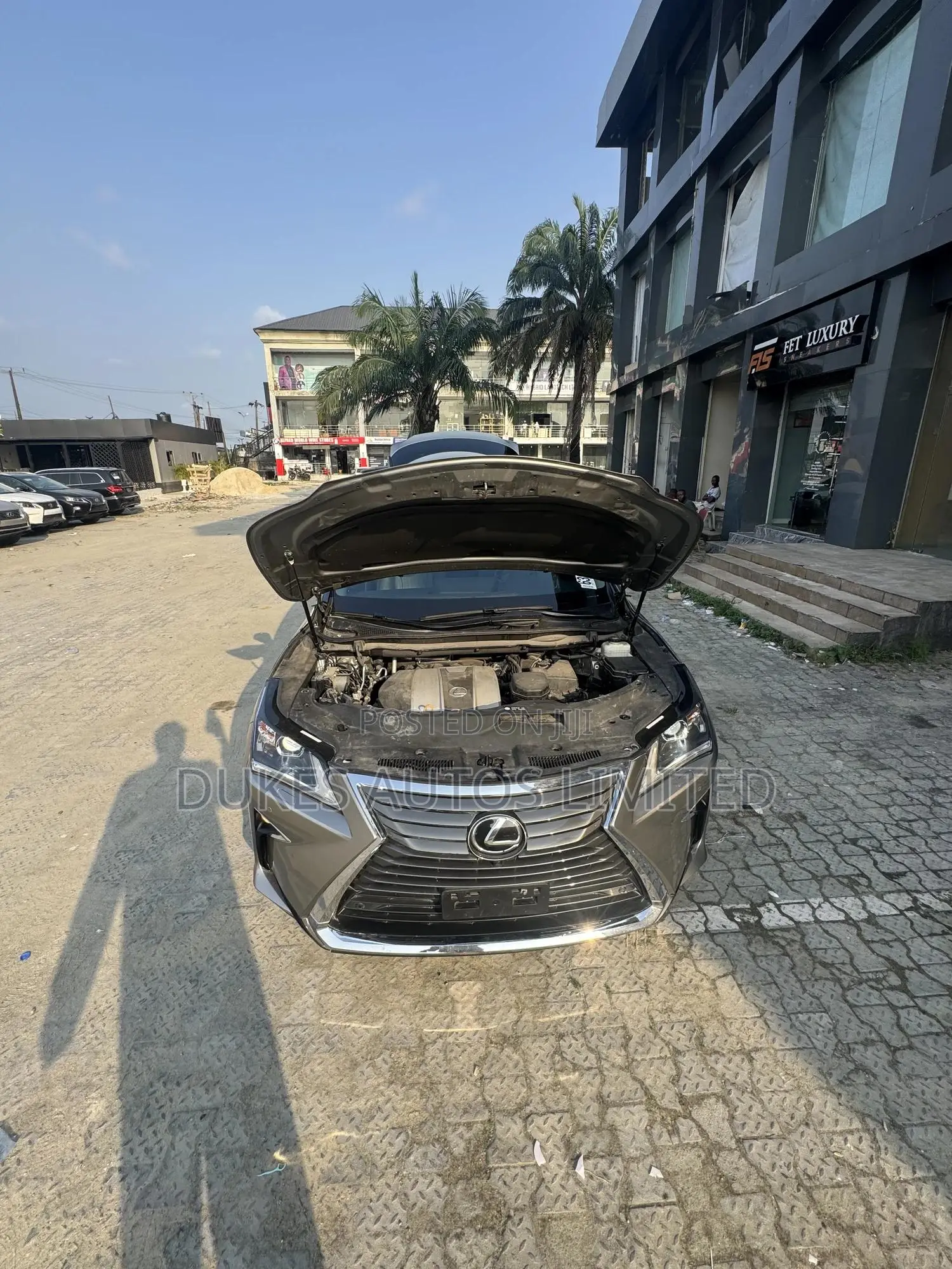 Lexus RX 2019 Gray