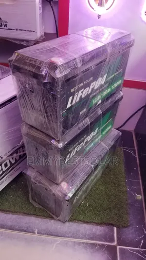12.8v 100ah 1280w Life Po4 Lithium Battery