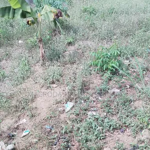 2 Plots of Land Available for Sale