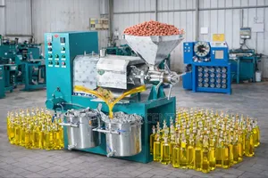 Industrial Groundnut Oil Extraction Machine – High Output Efficient