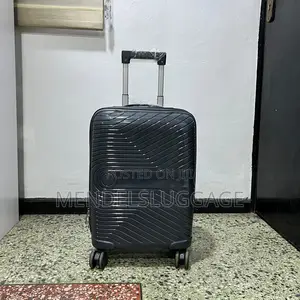 3-Piece Gray Spinner Luggage Set