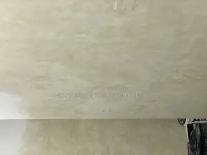 Limewash Painting in Lagos