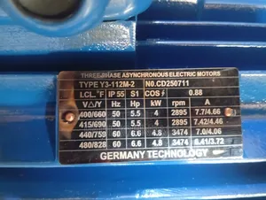 5.5hp Electric Motor