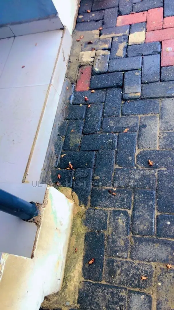 Fumigation And Pest Control Services
