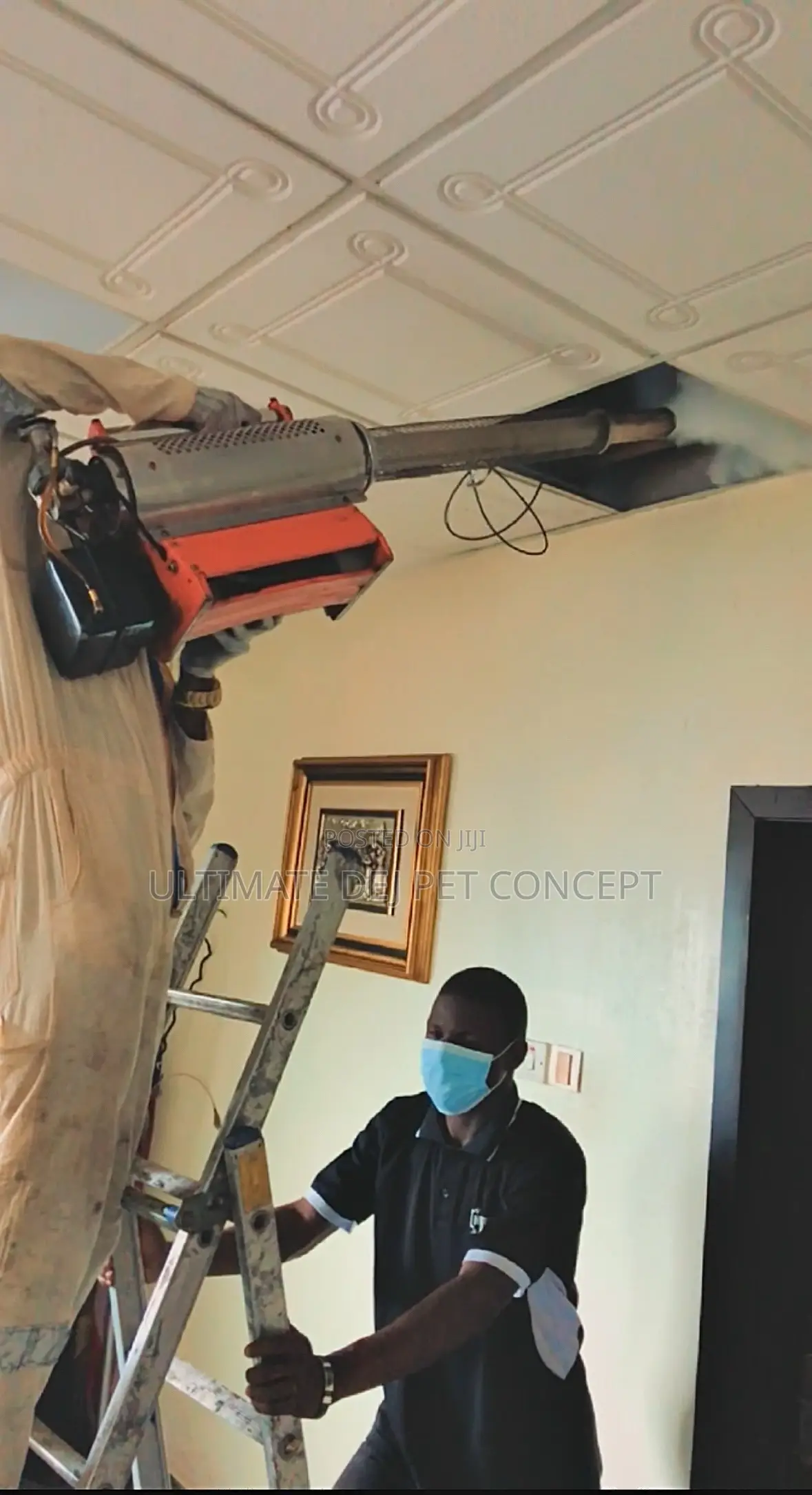 Fumigation And Pest Control Services