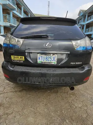 Lexus RX 330 2005 Gray