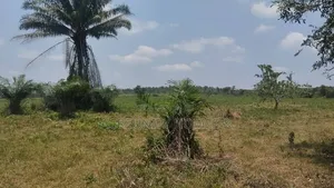 10 Acres of Land for Sale – Km 9, Iseyin–Ogbomoso Road