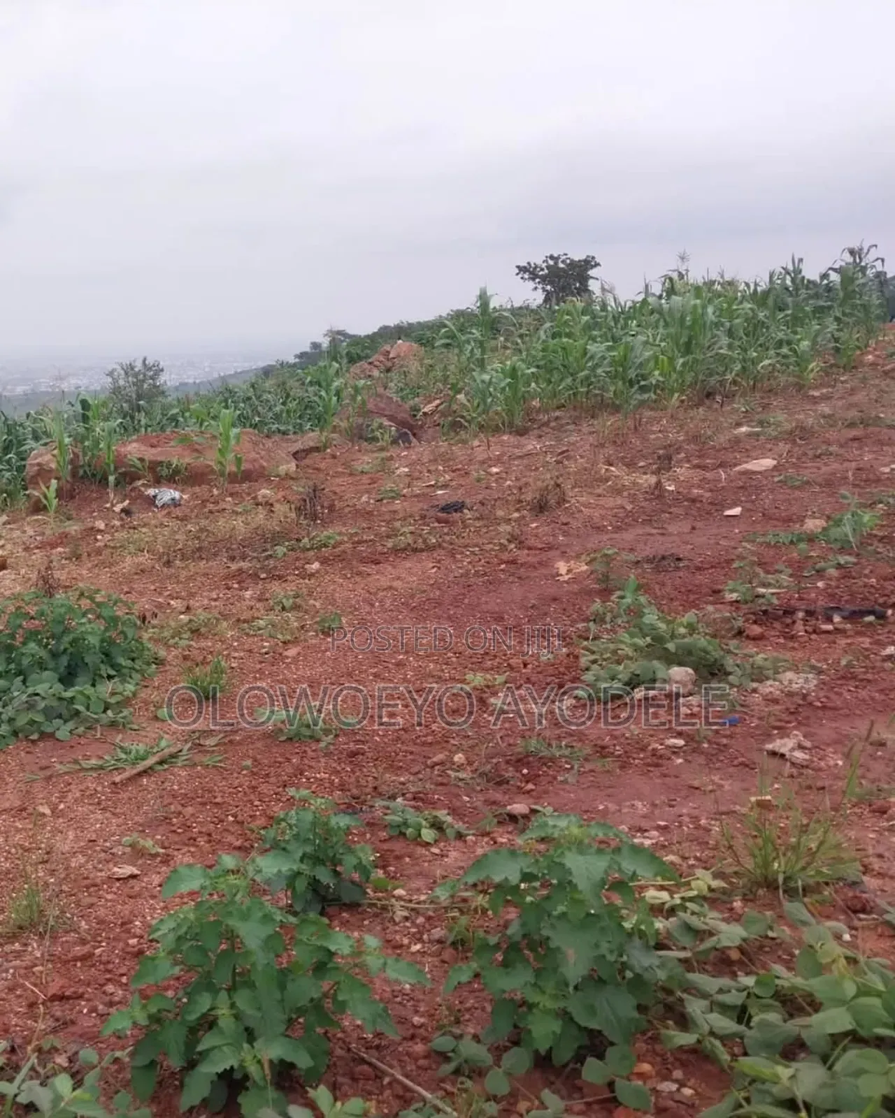 Residential Plot in Guzape Main