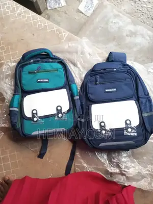 Standard Kids and Adult Bag With Numerous Hidden Spaces