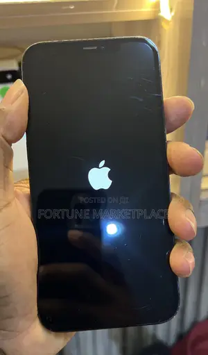 Apple iPhone 12 Pro Max 256 GB Blue