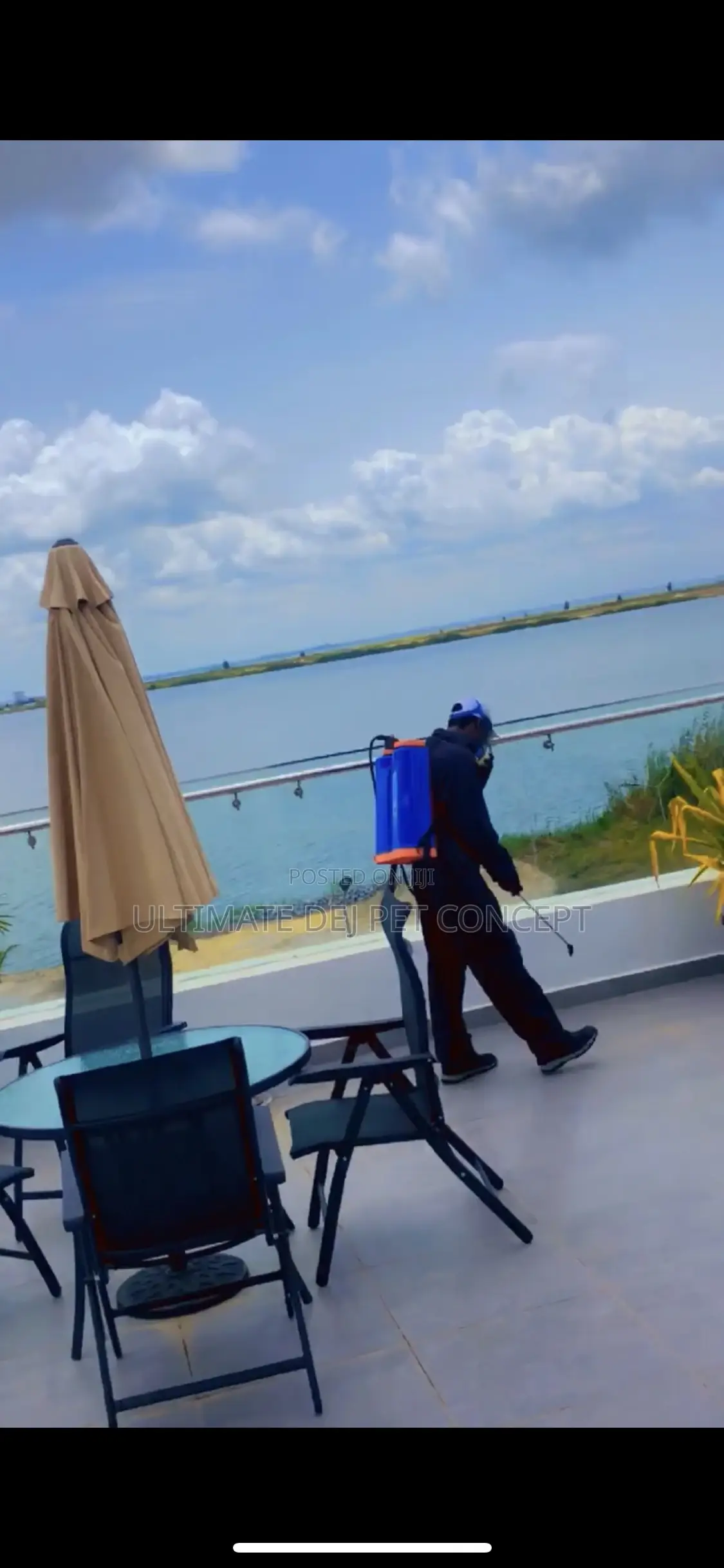 Fumigation And Pest Control Services