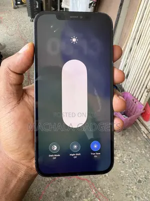 Apple iPhone 12 Pro Max 128 GB Blue
