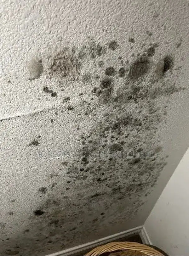 Wall Defects Treatment
