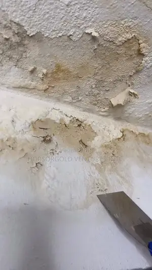 Wall Defects Treatment