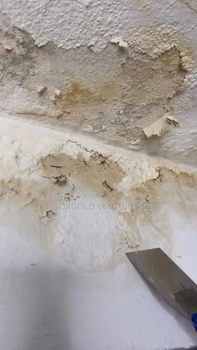 Wall Defects Treatment