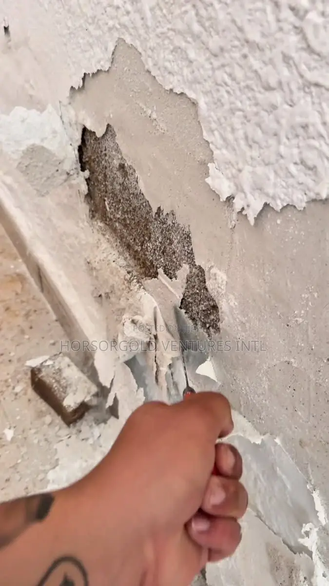 Wall Defects Treatment