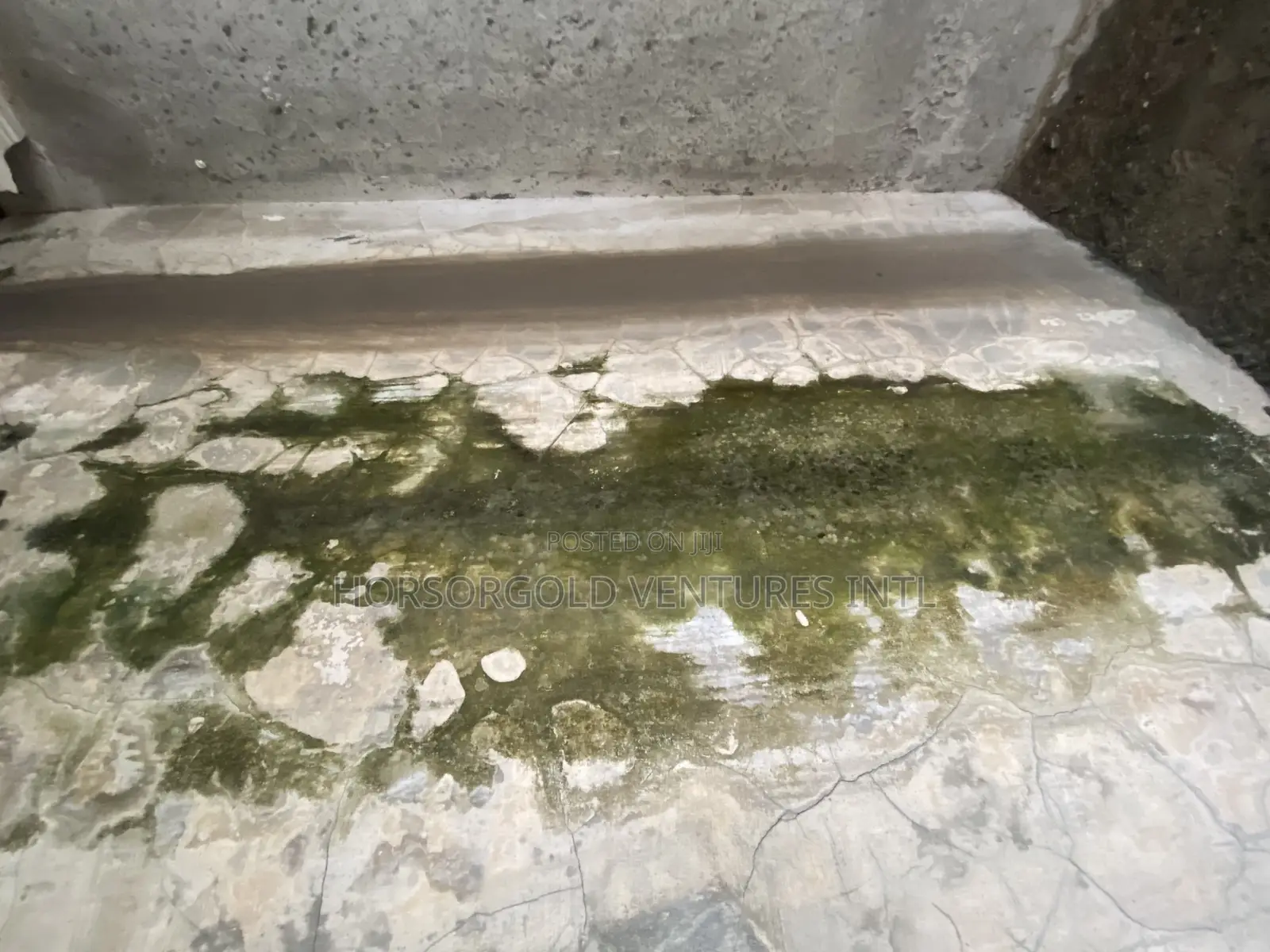 Wall Defects Treatment