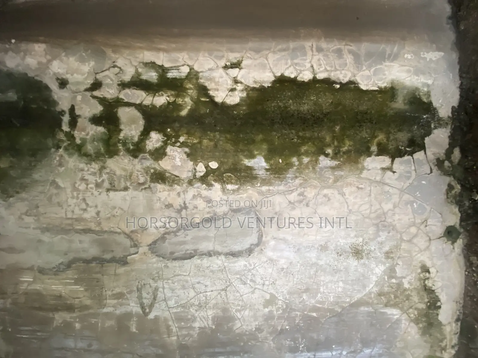 Wall Defects Treatment
