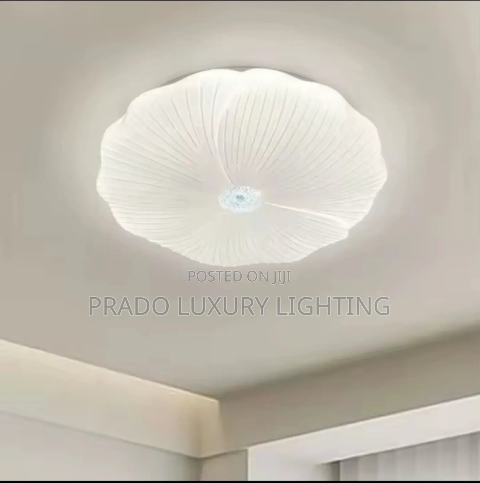 Living Room Light