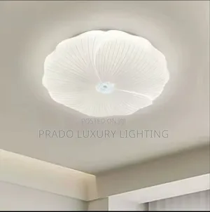 Living Room Light
