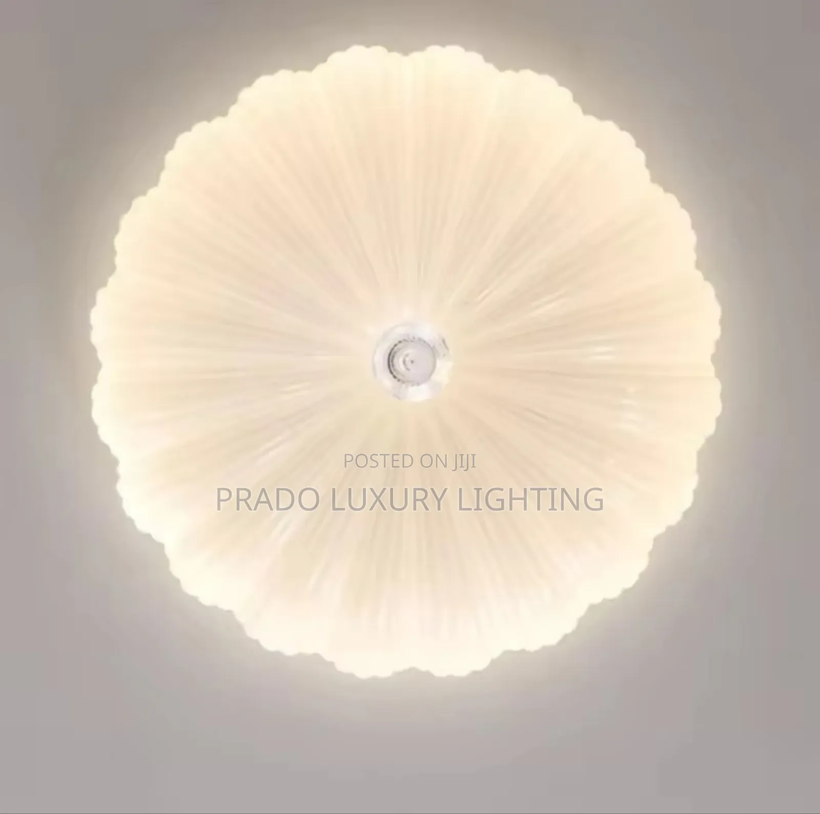 Living Room Light