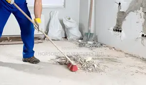 Cleaning Services