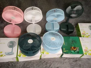 Rechargeable Fan