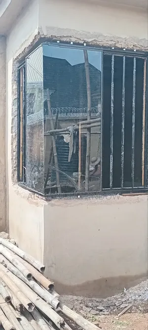 Frameless/Structural Window