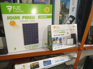 FJC 100w Solar Flood Light