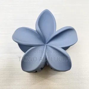 Beautiful Hair Claws (Per Dozen)
