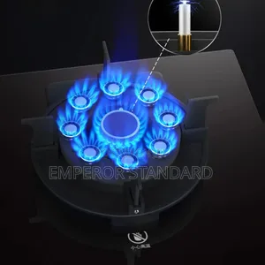 Modern Flip Up 2 Burners Gas Hob Built-in Cooker