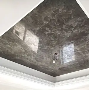 Stucco/Venetian Plaster