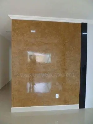 Stucco/Venetian Plaster