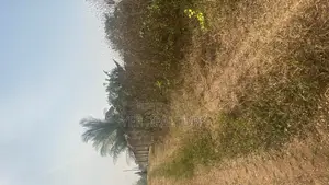 One Plot of Land for Sale at Eleweran Ile Ife