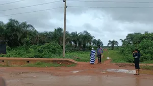 Ose's Garden Mowo Badagry