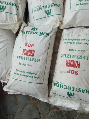 Sop Powder