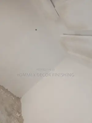 Professional Tyrolean and Screeder