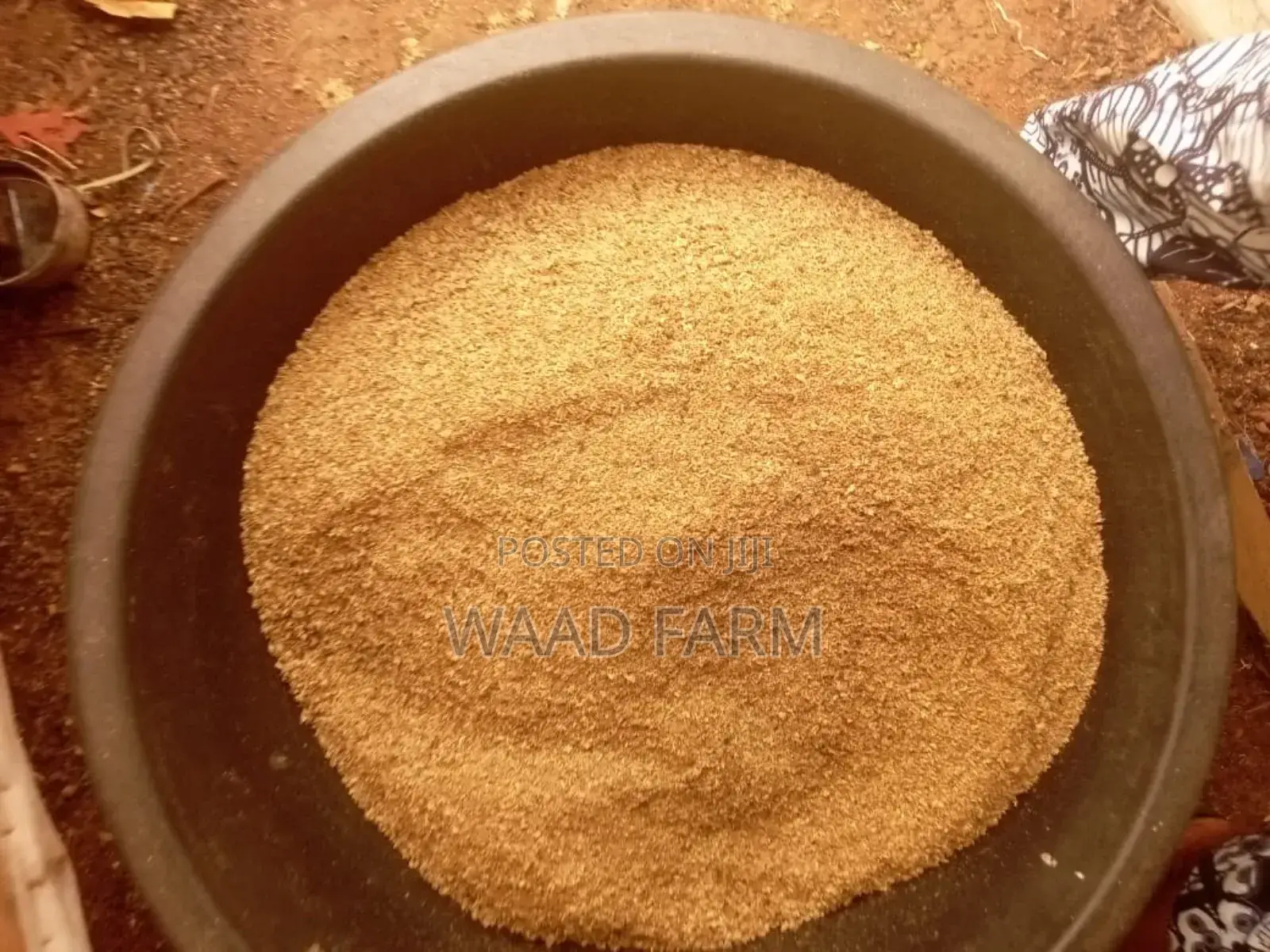 Spent Grain(Brewery Waste)