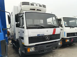Mercedes Benz 814 Cold Room