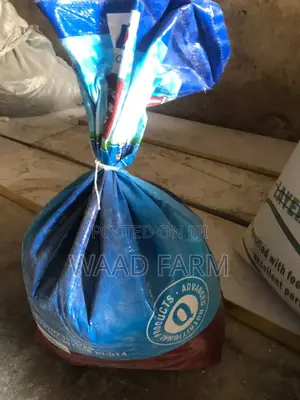 Poultry Feeds