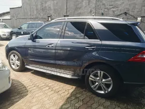 Mercedes-Benz M Class 2014 Blue