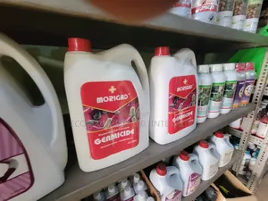 Morigad Disinfectant 4l - Dichloroxylenol + Chlorophenol