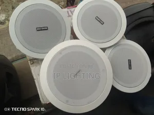 High Quality Ceiling Speaker