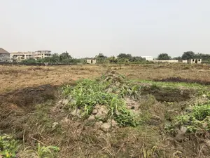 Land in an Estate in Umuelu Umuagwo Community, Ohaji Egbema, Imo