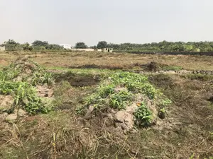 Land in an Estate in Umuelu Umuagwo Community, Ohaji Egbema, Imo