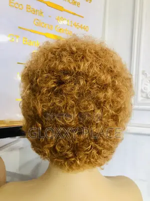 Hair Wig With Full Fronter