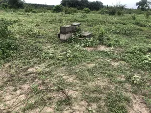 Land In Ikemba Estate In Obehi Asa Ukwu West Aba