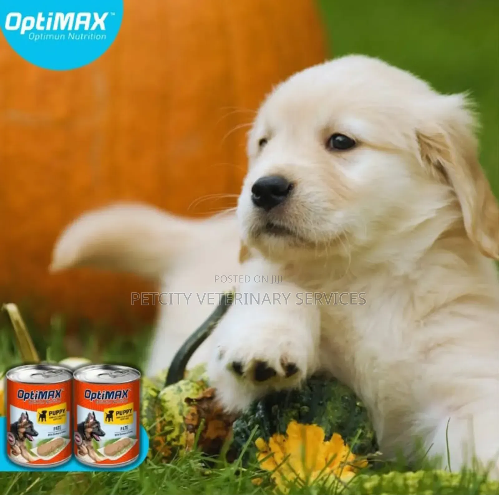 Optimax Products